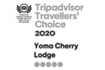 Travellers' Choice Award 2020